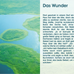 Das Wunder