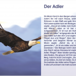 Der Adler