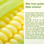 Wie Man Den Guten Mais Anbaut